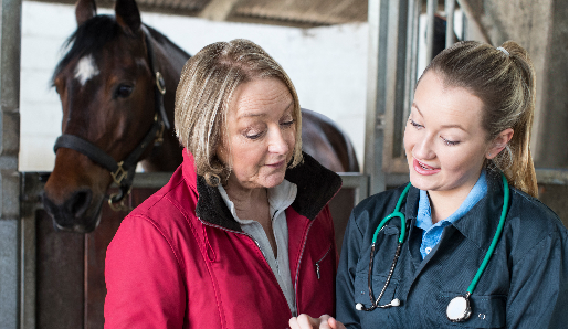 veterinarian and owner discussing vaccinations for horses