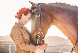 Five Ways to Celebrate National Horse Day | National Animal Supplement Council | NASC