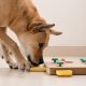 Boredom Busters for Dogs| NASC