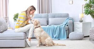 How to Pet-Proof your Home | NASC