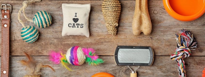 High-Tech Gadgets for Busy Pet Parents | NASC
