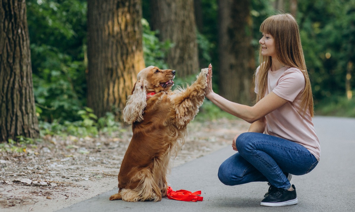 How to Hire a Pet Sitter You Trust | NASC