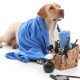 Grooming Tips for Dogs | NASC