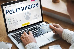 The Pros and Cons of Pet Insurance