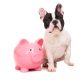 Money-Saving Tips for Pet Owners
