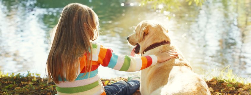 Kids & Dogs: Skills to Teach your Dog when Around Children